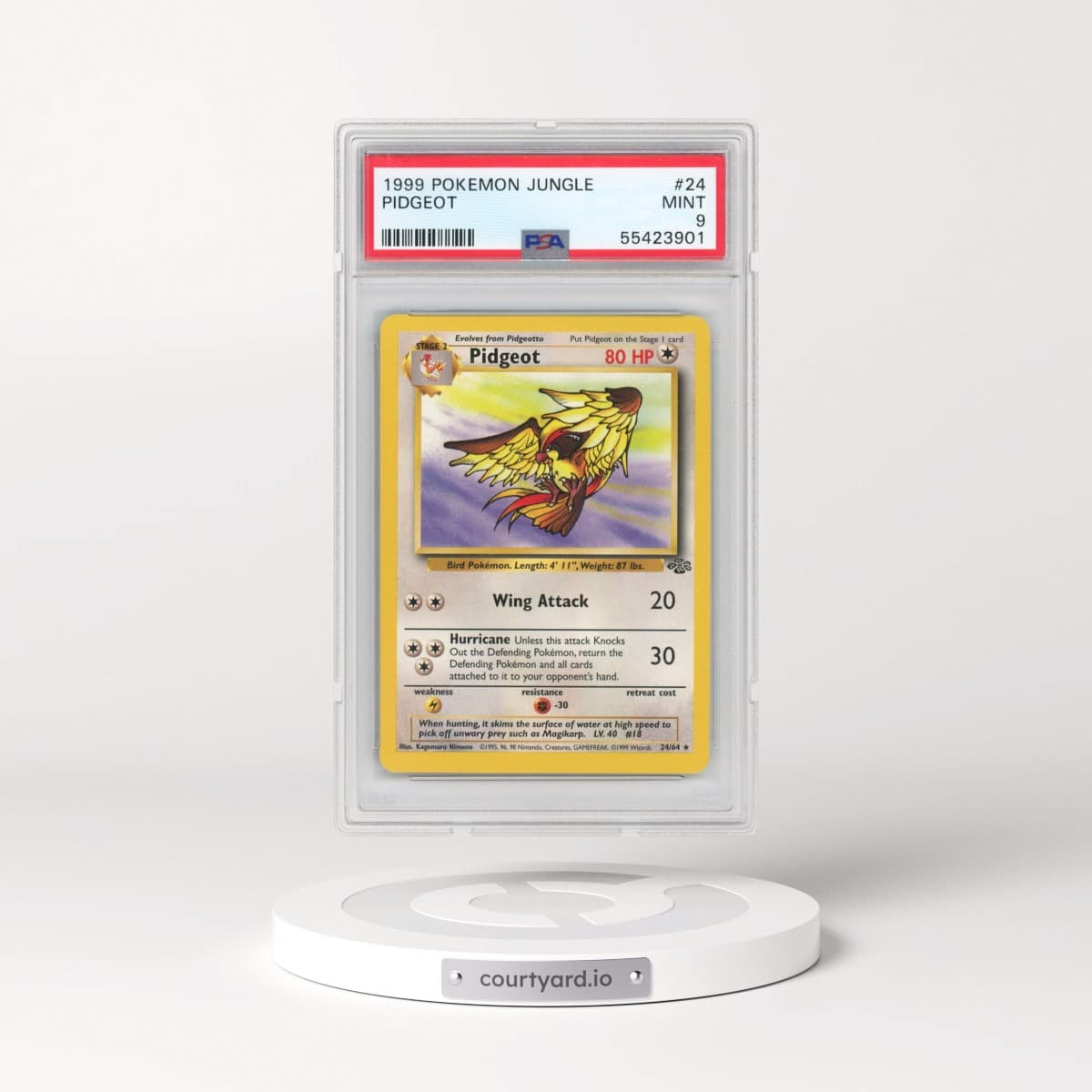 1999 Pokémon Jungle #24 Pidgeot (PSA 9 MINT)