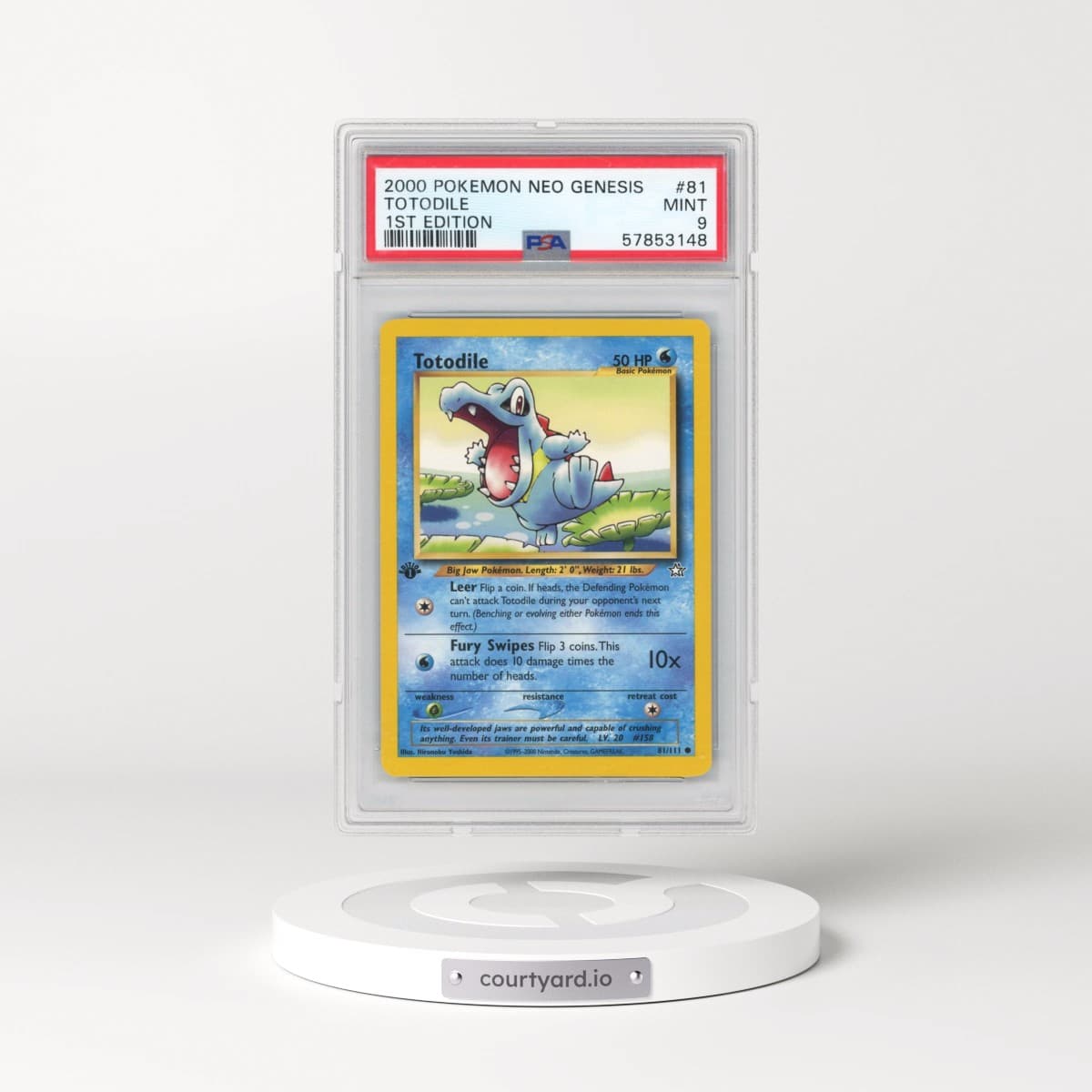 2000 Pokémon Neo Genesis #81 Totodile - 1st Edition (PSA 9 MINT)