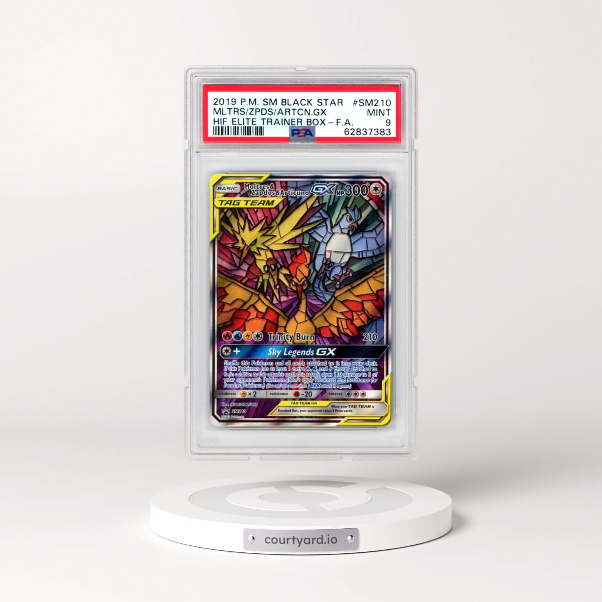 2019 Pokémon SM Black Star Promo #SM210 Moltres & Zapdos & Articuno GX - Holo Full Art Hidden Fates Elite Trainer Box (PSA 9 MINT)