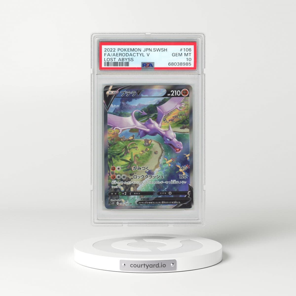 Pokémon Sword & Shield Lost Abyss