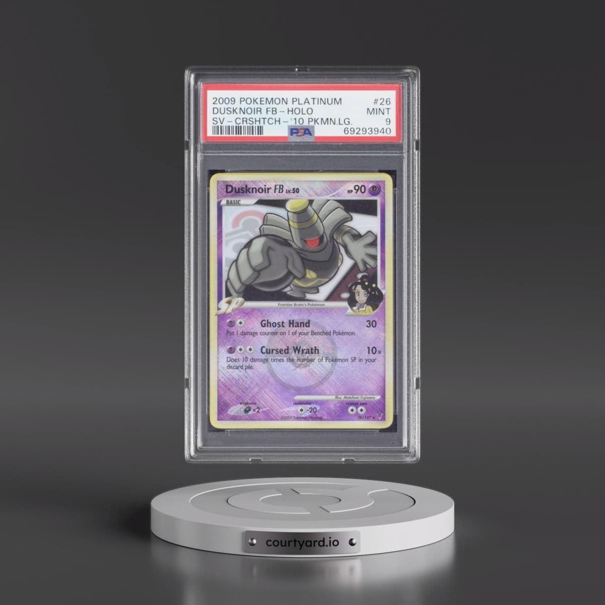 Pokémon Platinum Supreme Victors
