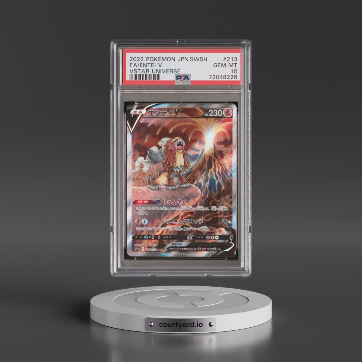2022 Pokémon Sword & Shield Vstar Universe #213 Entei V - Holo Full Art (PSA 10 GEM MINT)