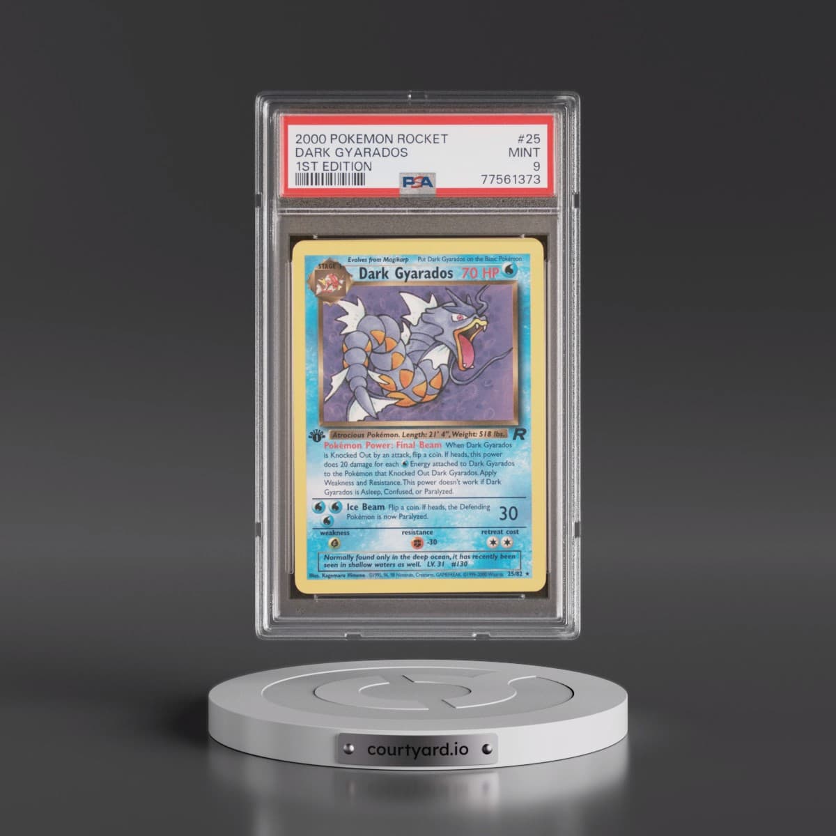2000 Pokémon Rocket #25 Dark Gyarados - 1st Edition (PSA 9 MINT)