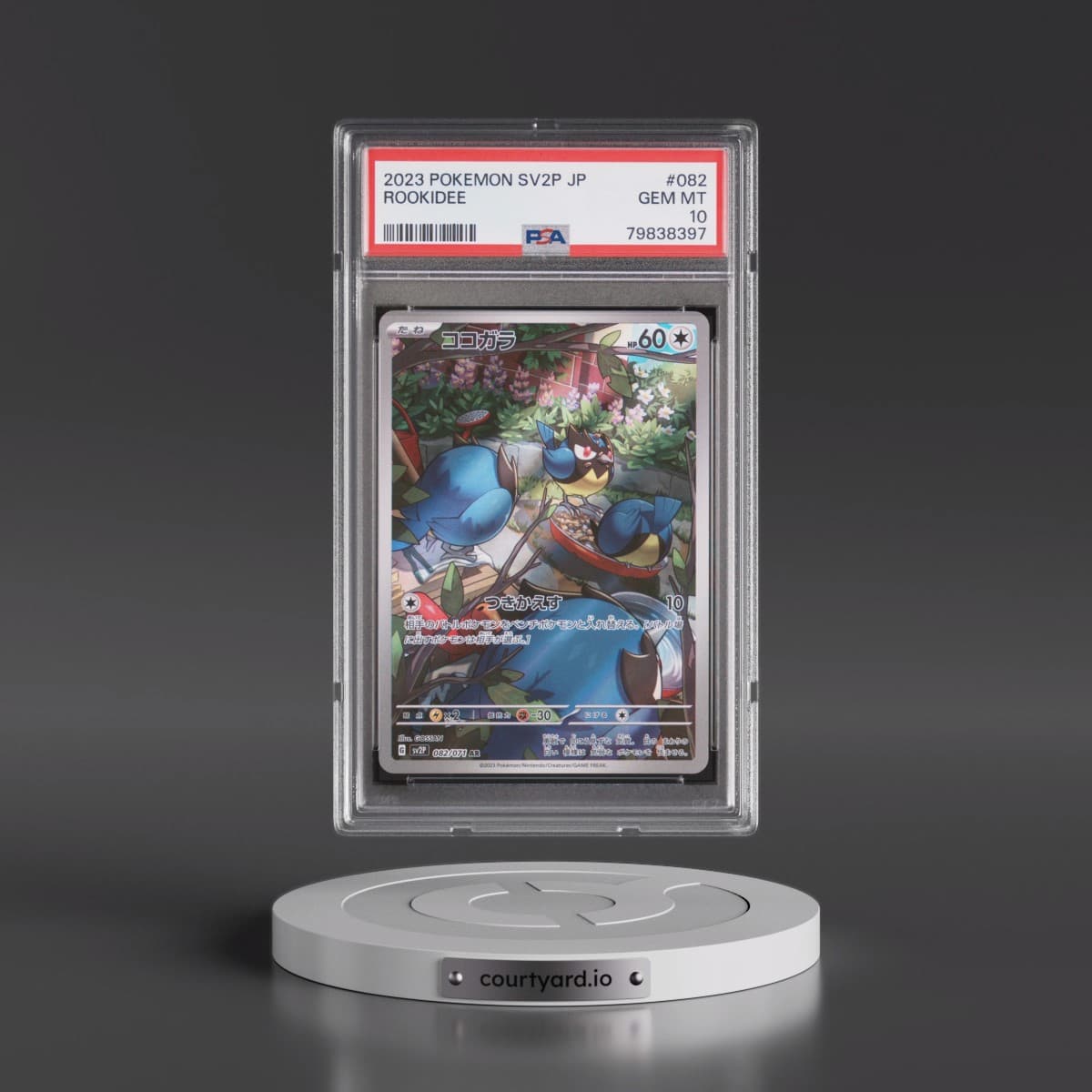 2023 Pokémon Sv2p-Snow Hazard #082 Rookidee - Art Rare (PSA 10 GEM MINT)