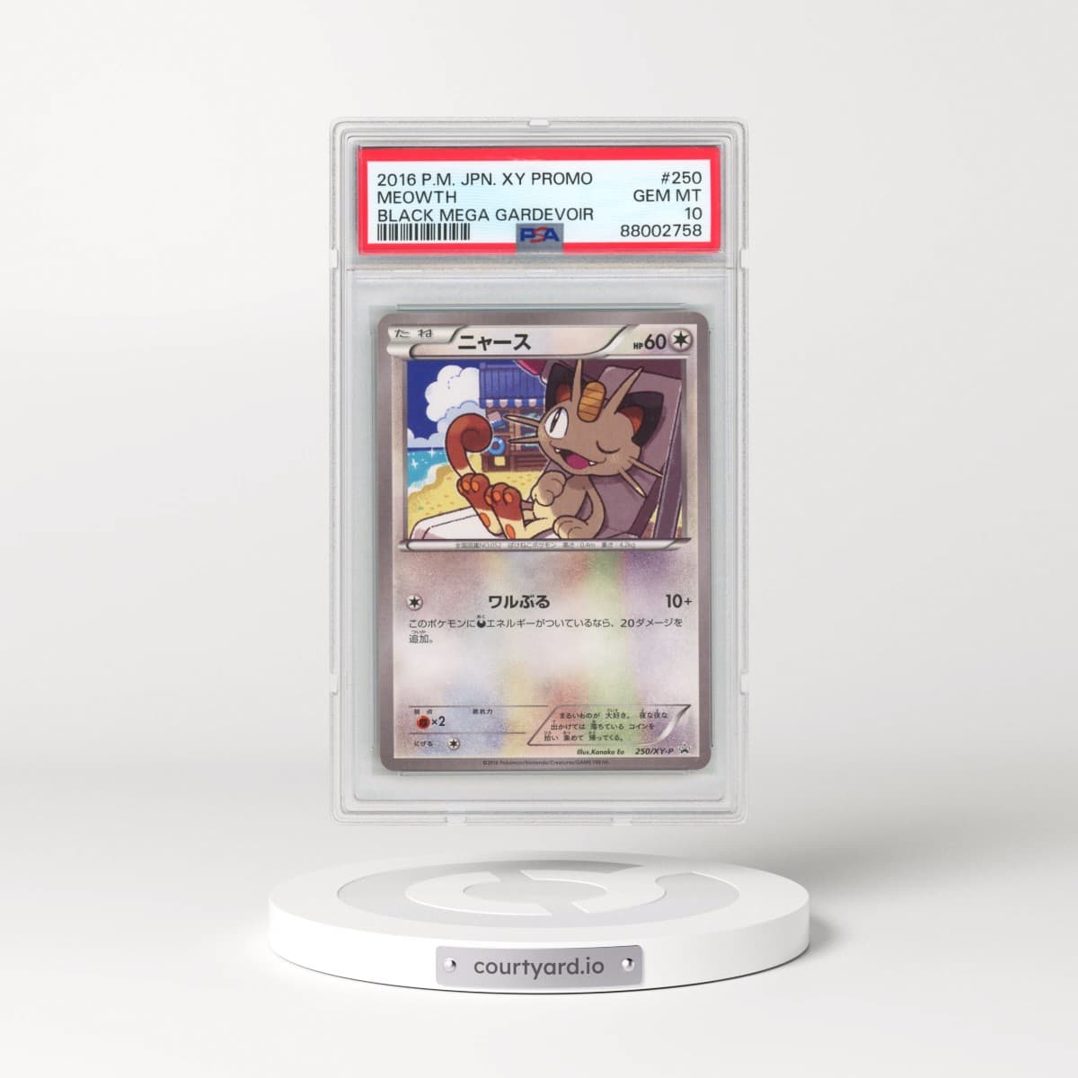 2016 Pokémon XY Promo #250 Meowth - Black Mega Gardevoir (PSA 10 GEM MINT)