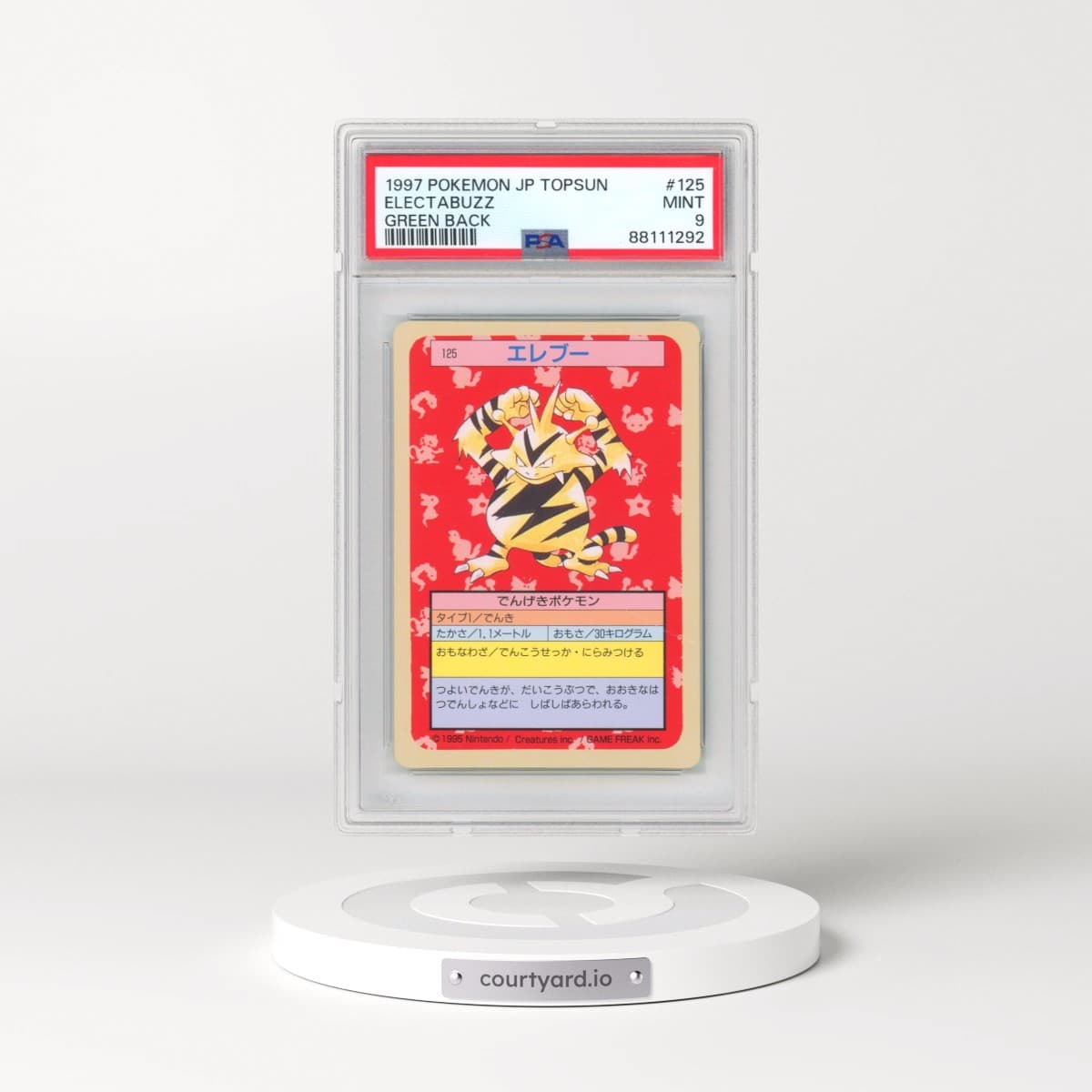 Pokémon Topsun