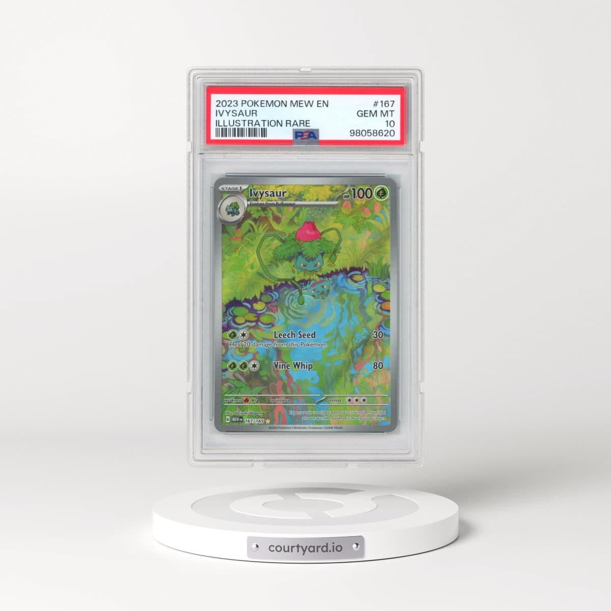 2023 Pokémon Mew EN-151 #167 Ivysaur - Illustration Rare (PSA 10 GEM MINT)