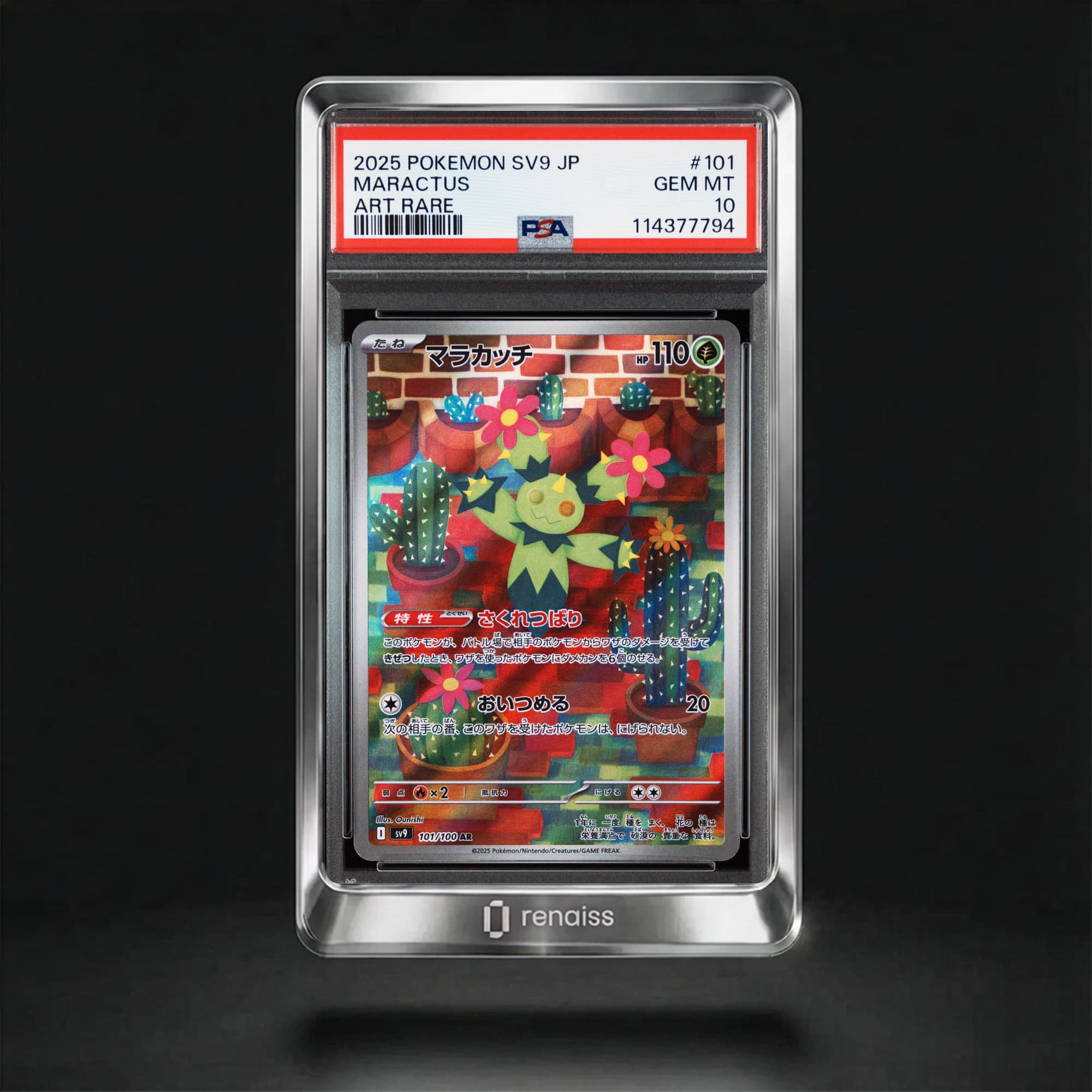 PSA 10 Gem Mint 2025 Pokemon Japanese Sv9-Battle Partners #101 Maractus
