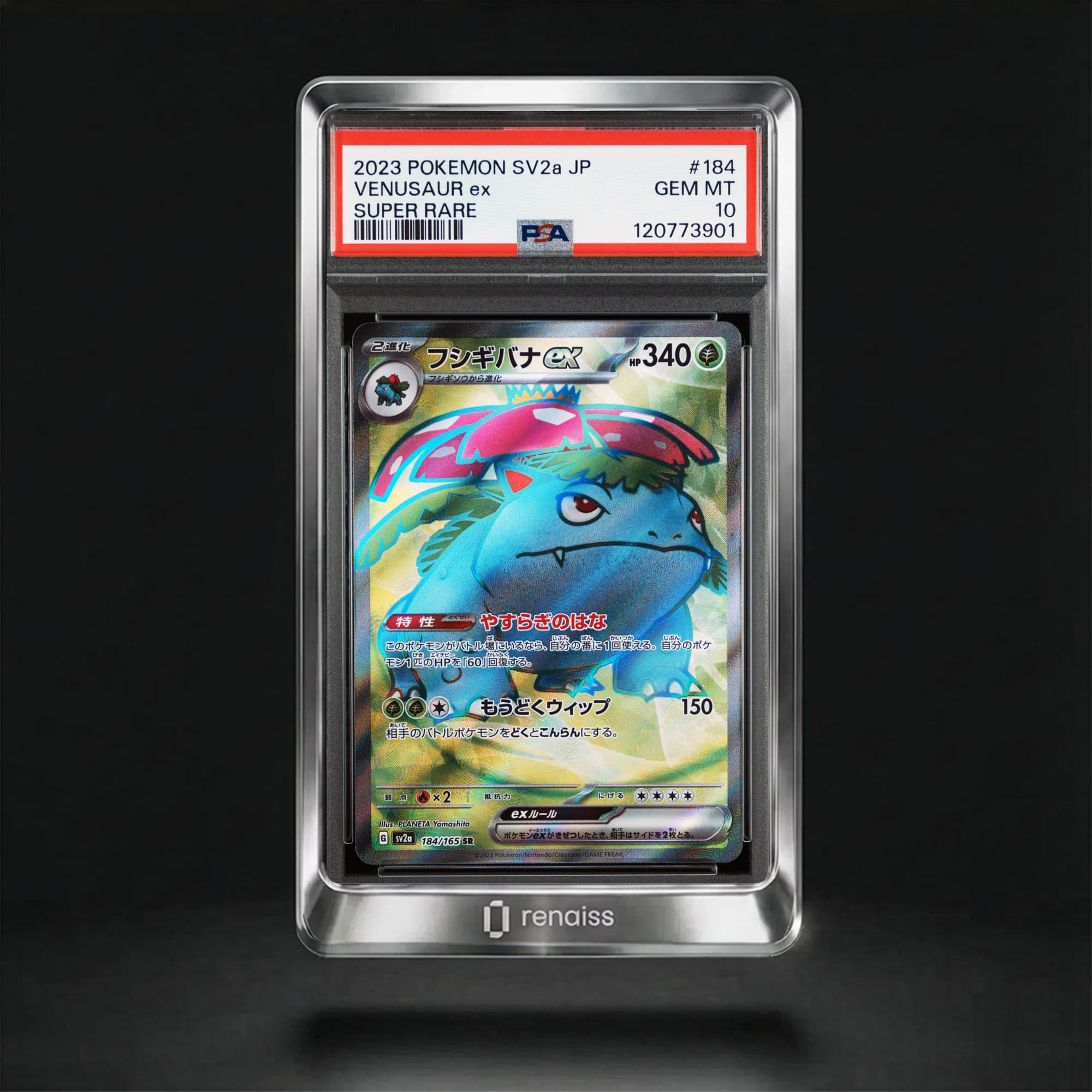 PSA 10 Gem Mint 2023 Pokemon Japanese Sv2a-Pokemon 151 #184 Venusaur Ex