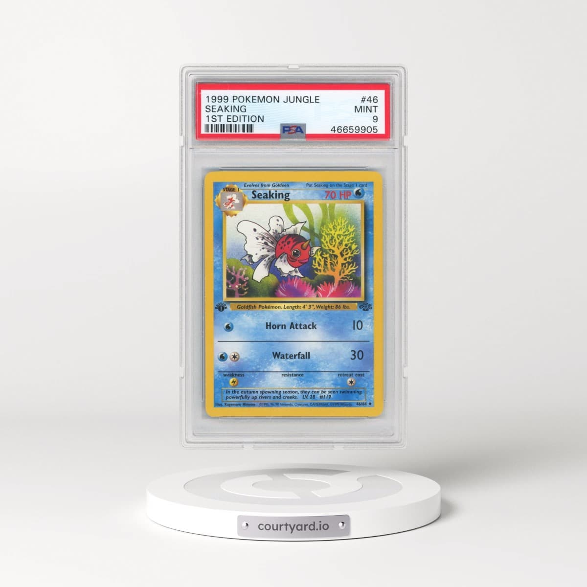 1999 Pokémon Jungle #46 Seaking - 1st Edition (PSA 9 MINT)